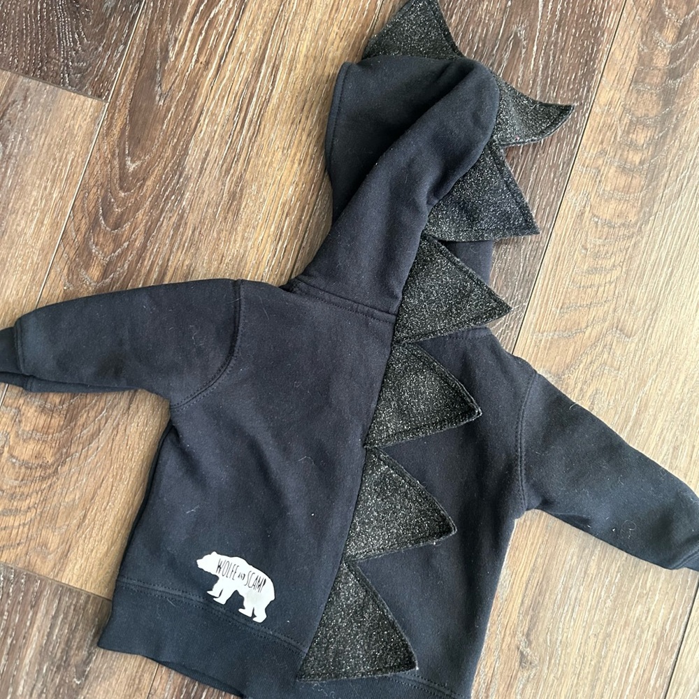 Baby Dragon Adventure Hoodie